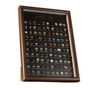 Set educativo, kit di scoperta minerale di alta qualità, scatola da 21,5 cm con coperchio trasparente, campioni di pietra naturale lucidata, display scientifico con vassoio di selezionamento, risorse