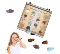 Set Educativo su Rocce E Minerali Naturali | Kit Di Esemplari Di Collezione Di Rocce Educative Esemplare Di Pietre Preziose Miste per