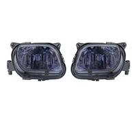 DIEDERICHS 1614289 Kit fendinebbia