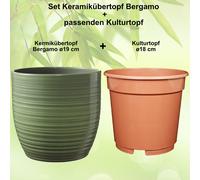 Set - Fioriera Bergamo + Kunststoffpflanztopf
