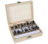 Set Frese Einhell Per Fresatrice Verticale 15 Pezzi Einhell Frese e raspe 53442