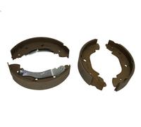 Set ganasce freno DELPHI LS1916 per DOBLO Cassone/Limousine spaziosa 1.2 2001-