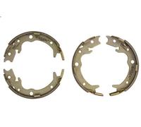 Set ganasce freno, freno di stazionamento DELPHI LS1900 per TL 3.2 2001-2003