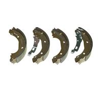 Set ganasce freno posteriore 15 pollici per Ducato 230/244 77362286