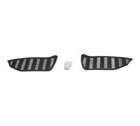 DIEDERICHS zub00479 Griglia paraurti