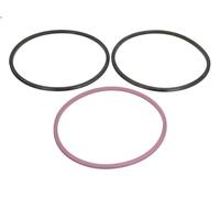 Set guarnizioni, canna cilindro ELRING 308.930 per DAF CF 85 12.902 2005-2013