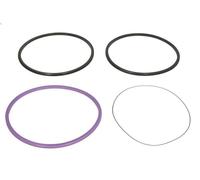 Set guarnizioni, canna cilindro MAHLE 213 SK 50109 000 DAF CF 85 12.903 2005-202