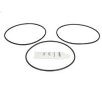 Set di guarnizioni, canna del cilindro MAHLE 439 SK 50039 000