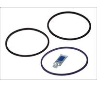 Set guarnizioni, canna cilindro REINZ 15-39516-01 per DAF CF 85 12.902 2005-2013