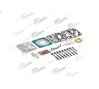 Set guarnizioni, canna cilindro VADEN 1100 450 75 per ANTOS 7.698 2012-2018