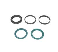 Set guarnizioni cilindro per martinetto EVERT ZL207103011