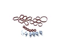 Set Guarnizioni Colletore D'Ingresso Per BMW Serie 3 E46 E90 E91