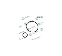 Set Guarnizioni Colletore D'Ingresso per Citroën C15 C25 Berlingo 4556.05