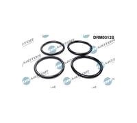 Set Guarnizioni Colletore D'Ingresso per Citroën Jumpy Xsara Berlingo 0365.34