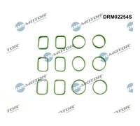 Set Guarnizioni Colletore D'Ingresso Per Il VW Audi A4 Porsche 059129717N
