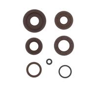 Serie Paraolio Motore KYMCO MXU 500 da 1-2005 - a 12-2010