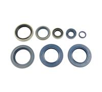 Set di guarnizioni olio motore ATHENA P400270400006