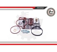 Set Guarnizioni Pompa da Vuoto sotto Pressione Skv per VW Crafter 30-35 30-50 Lt
