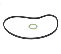 Set guarnizioni, pompa dell'acqua ELRING 359.200 per BMW 5 (E60) 4 2007-2009