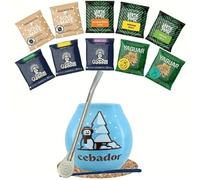 Set invernale di campioni di yerba mate con accessori | Yerba mate Yaguar, Verde Mate, Soul Mate, Guarani | Calabash e yerba mate bombilla | 10x50g | Caffeina naturale | 500g | 0.5 kg