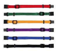 Set junior collari per cuccioli 22-35 cm/10 mm nero, rosso, blu reale, verde mela, papaya, orchidea