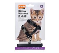 Set Karlie pettorina e guinzaglio per gattini - nero