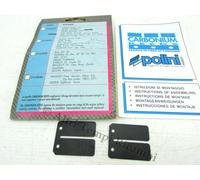 SET-LAMELLE CARBONIO PIAGGIO FRE. QUAREZ SPERA ZIP ZIP FAST RAIDER NRG NTT GILER