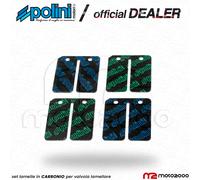 SET LAMELLE CARBONIO POLINI PACCO LAMELLARE PER PIAGGIO NRG MC3 NTT QUARTZ SFERA