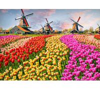 Set Lenzuola Copriletto Letto 100% Cotone Linea Sogni D'oro Olanda 60