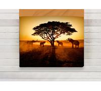 Set Lenzuola Copriletto Letto 100% Cotone Linea Sogni D'oro Safari D81