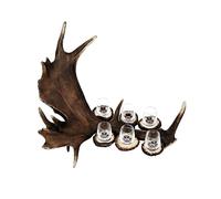Set liquore 6 bicchieri 60ml con vero corno di daino. caccia. 173703