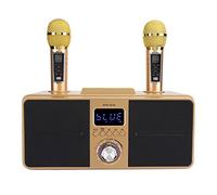 Set Macchina per Karaoke, Kitdi KTV per Famiglie, Microfono Wireless SchedaLive Altoparlante Karaoke, Ripristino 'effetto Sonoro Stereo Reale (GOLD)
