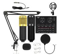Set microfoni a condensatore Scheda audio streaming supporto microfono