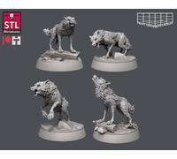 Set Miniature Di Lupi Selvaggi Con Figurine Compagne Per TTRPG Come D&D 5E
