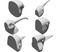 Set Modelli Testa Becco Uccelli 6 Specie Evoluzione Biologia Didattico 3D
