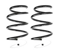 Set Molle Ammortizzante Anteriore SPIDAN RENAULT MEGANE 162mm