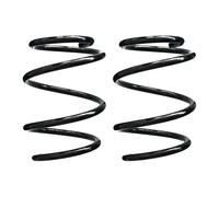 Set Molle Ammortizzatore Anteriore SPIDAN, 163mm, Filo 13mm