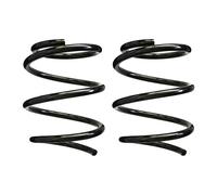 Set Molle Ammortizzatore Anteriore SPIDAN, 163mm, Filo 13mm