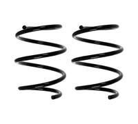 Set Molle Ammortizzatore Anteriore SPIDAN, 169mm, 13,75mm Ø, 87267