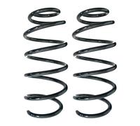 Set Molle Ammortizzatore Anteriore SPIDAN Front Ø149mm per u.a. HONDA CIVIC