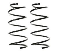 Set Molle Ammortizzatore Anteriore SPIDAN per BMW Serie 3, Ø170mm