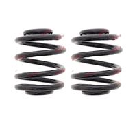 Set Molle Ammortizzatore Posteriori KYB Audi TT Molla Elicoidale Ø146mm