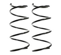 Set Molle Ammortizzatori Anteriore SPIDAN 49282 177mm, RENAULT LAGUNA