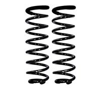 Set Molle Ammortizzatori Posteriore EIBACH per MB A-KLASSE, 10,2 mm