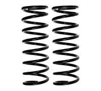 Set Molle Ammortizzatori Posteriore SPIDAN per JAGUAR X-TYPE, 119mm
