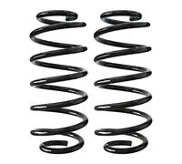 Set Molle Ammortizzatori Posteriori SPIDAN Per SMART FORFOUR Ø120mm