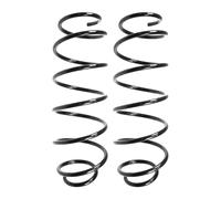 Set Molle Ammortizzatori SPIDAN Per Asse Anteriore, 104mm, 310mm