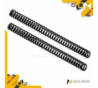 Set molle forcella moto Andreani Lunghezza 440 mm K 5.2 Kayaba 400/072