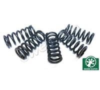 Set Molle Frizione - Chinese Motorcycle Lifan Heritage LF125-14F 07-11