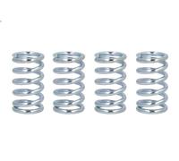 Set molle frizione FERODO FSS0304